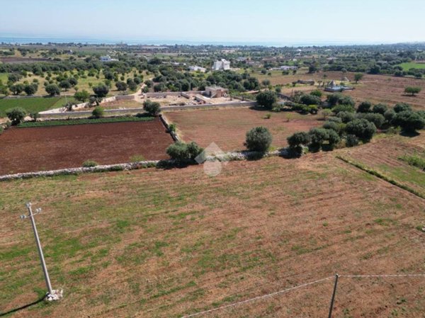 terreno agricolo in vendita a Polignano a Mare in zona Cavuzzi