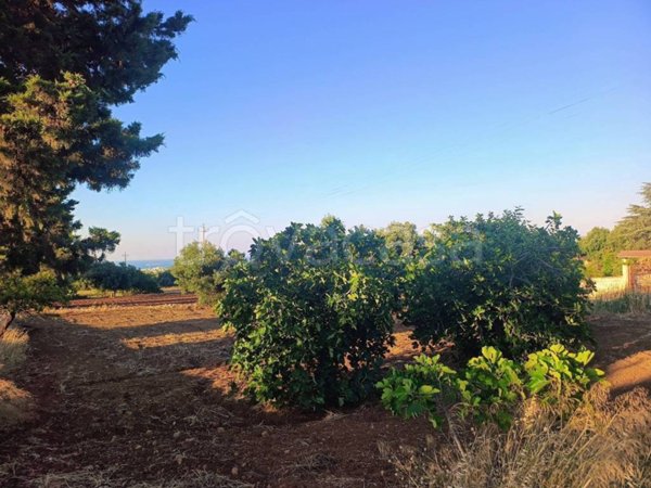 terreno agricolo in vendita a Polignano a Mare in zona Cavuzzi