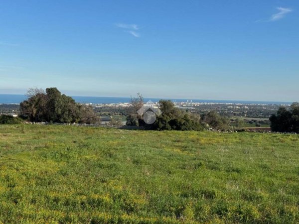 terreno agricolo in vendita a Polignano a Mare in zona Cavuzzi
