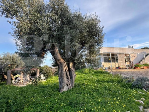 casa indipendente in vendita a Polignano a Mare