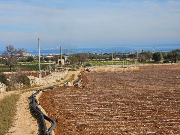 terreno agricolo in vendita a Polignano a Mare in zona Cavuzzi