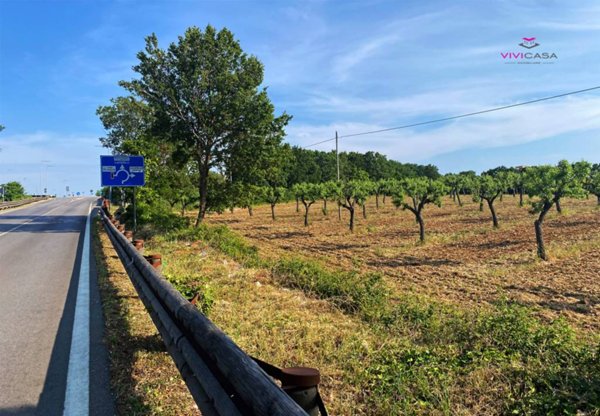 terreno agricolo in vendita a Putignano in zona San Pietro Piturno