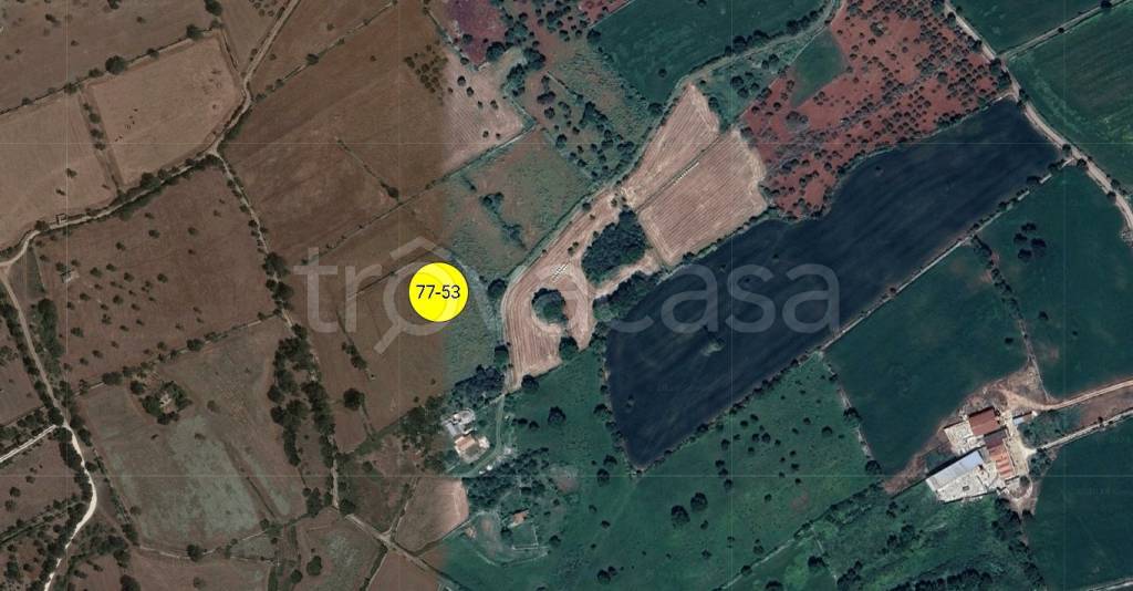 terreno agricolo in vendita a Putignano