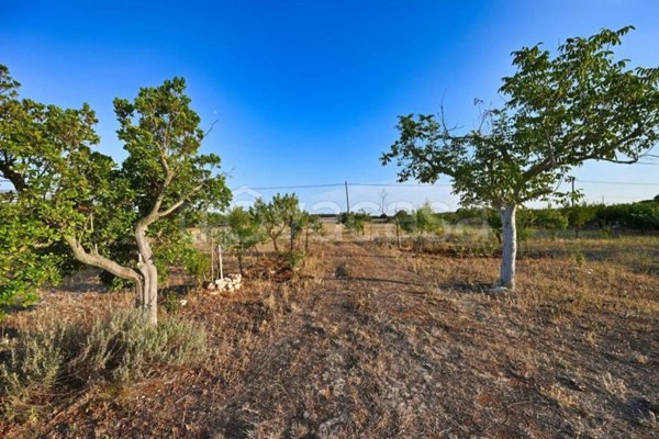 terreno agricolo in vendita a Putignano