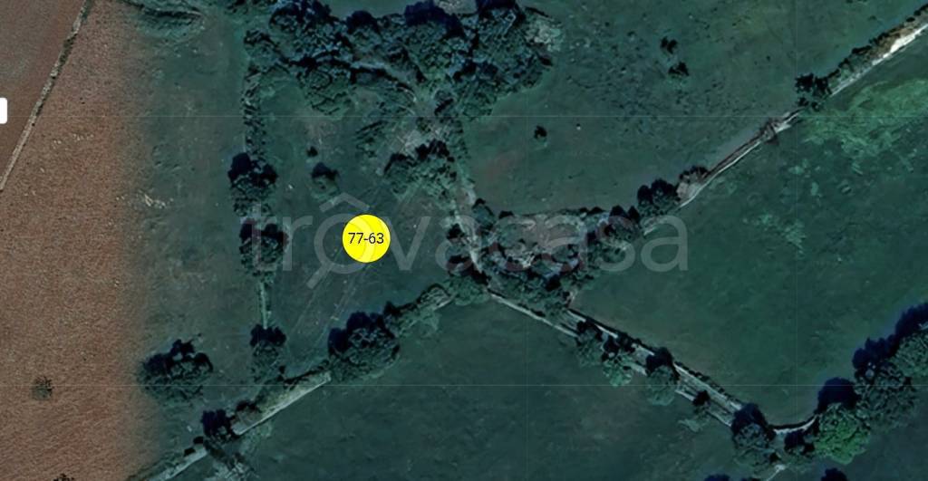 terreno agricolo in vendita a Putignano