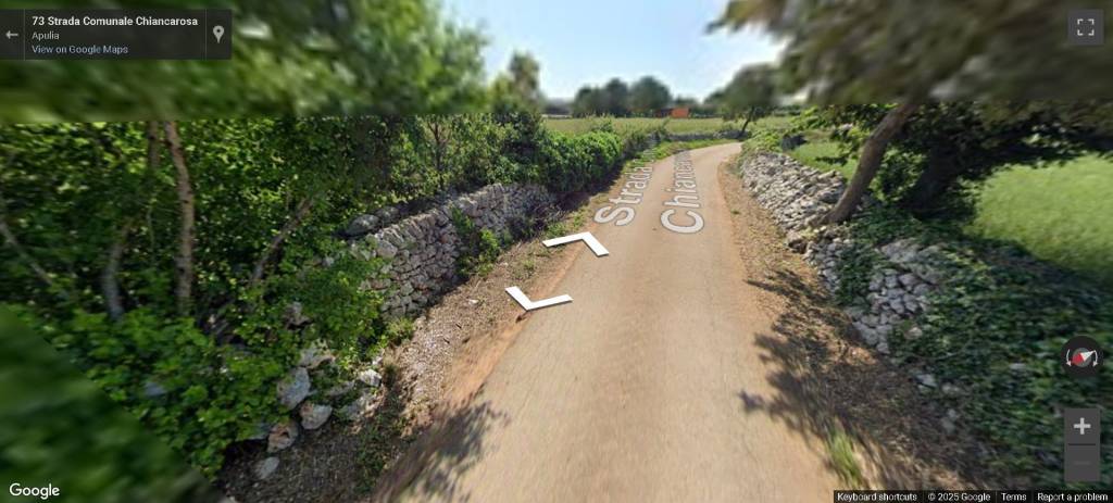 terreno agricolo in vendita a Putignano