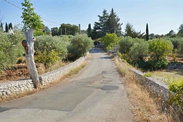 terreno agricolo in vendita a Putignano