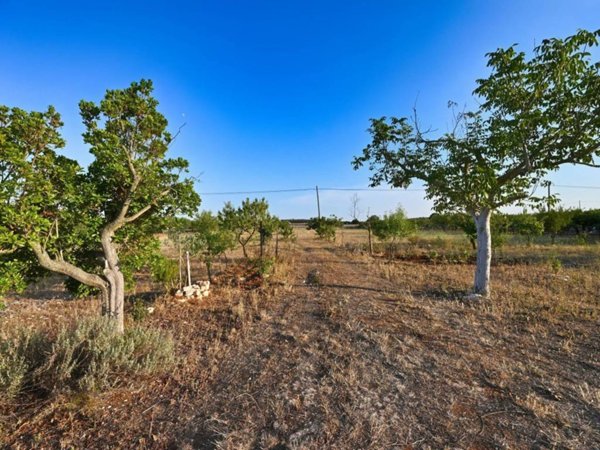 terreno agricolo in vendita a Putignano