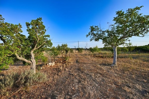 appartamento in vendita a Putignano