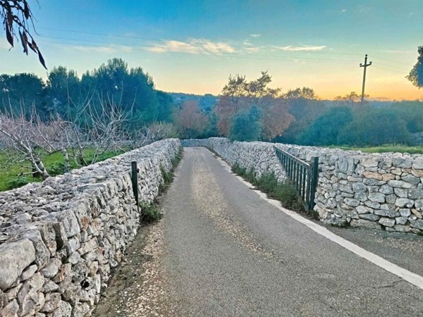 terreno agricolo in vendita a Putignano
