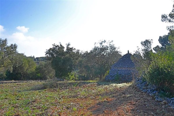 terreno agricolo in vendita a Putignano
