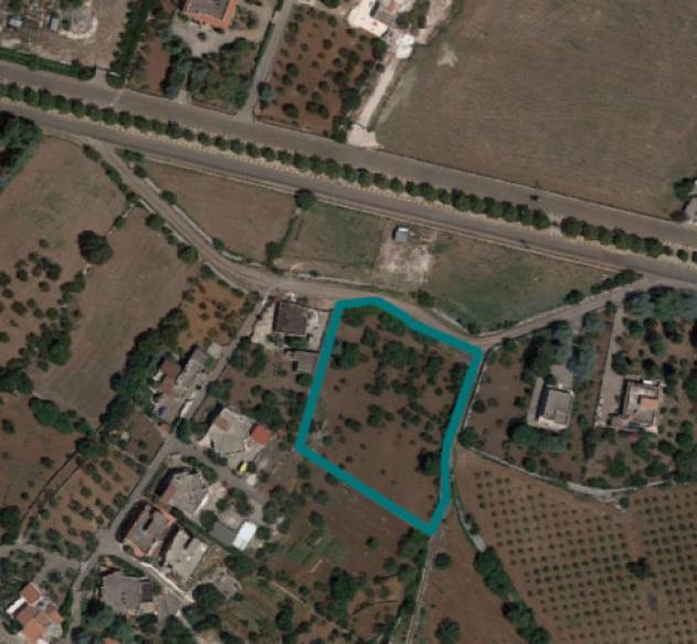 terreno agricolo in vendita a Putignano