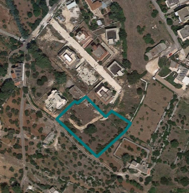 terreno agricolo in vendita a Putignano
