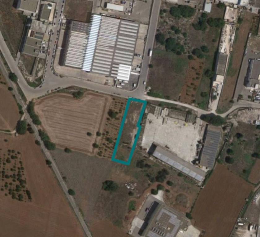 terreno agricolo in vendita a Putignano