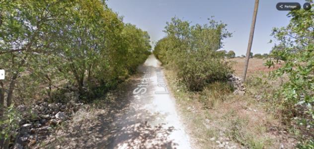 terreno agricolo in vendita a Putignano