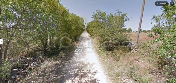terreno agricolo in vendita a Putignano