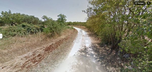 terreno agricolo in vendita a Putignano