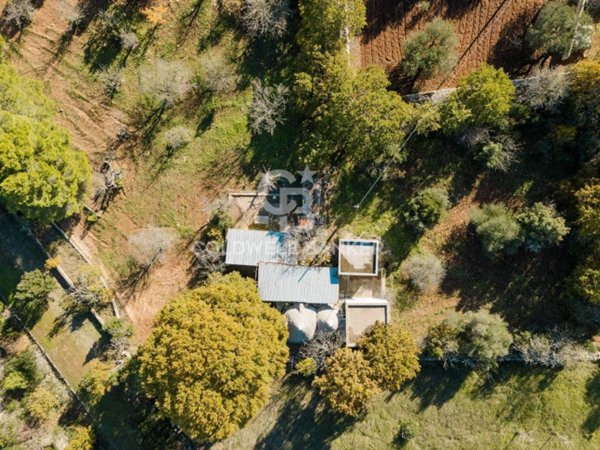 casa indipendente in vendita a Putignano in zona Parco Grande