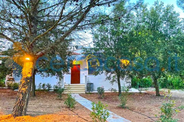 casa indipendente in vendita a Putignano