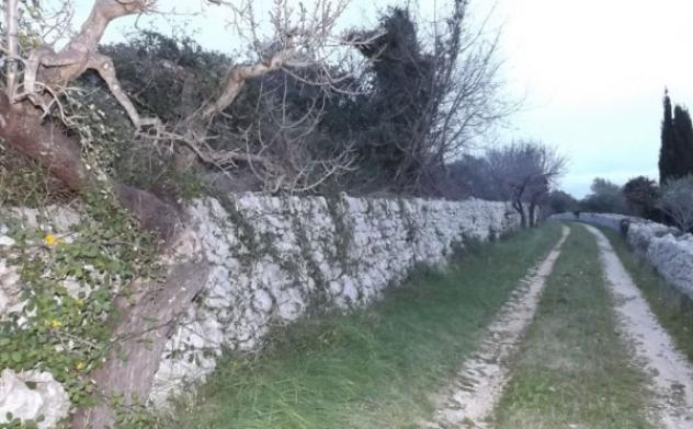 terreno agricolo in vendita a Putignano