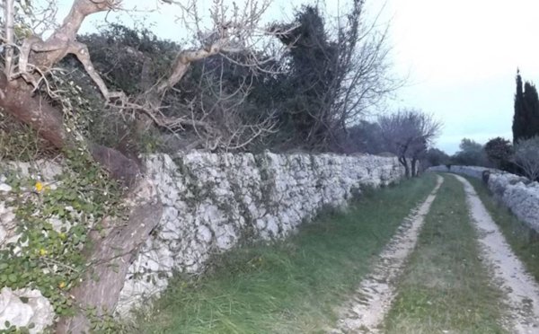 terreno agricolo in vendita a Putignano