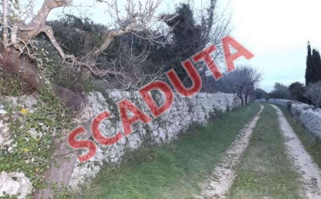 terreno agricolo in vendita a Putignano