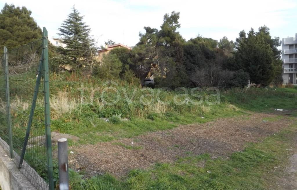 terreno agricolo in vendita a Putignano