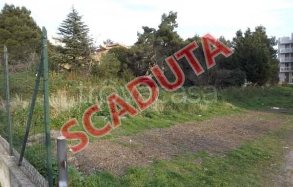 terreno agricolo in vendita a Putignano