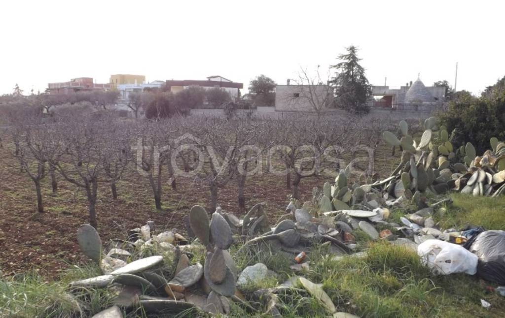 casale in vendita a Putignano