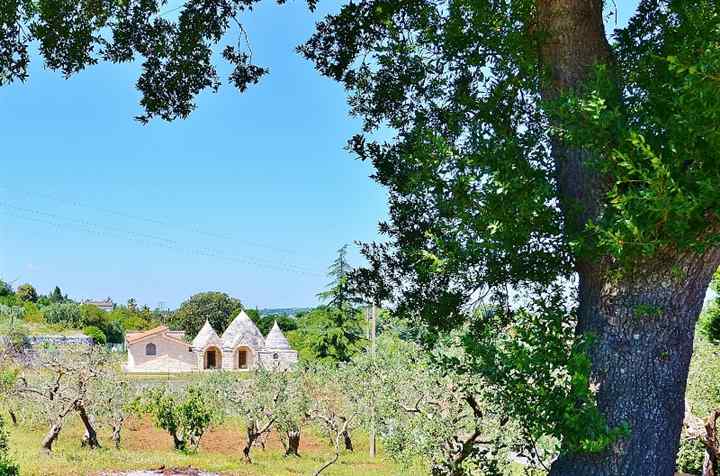 casa indipendente in vendita a Putignano