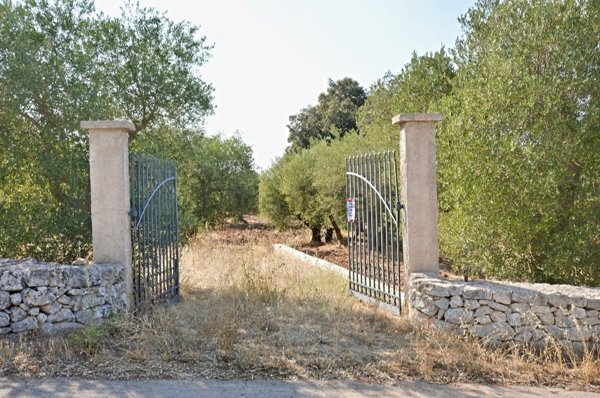 terreno agricolo in vendita a Putignano