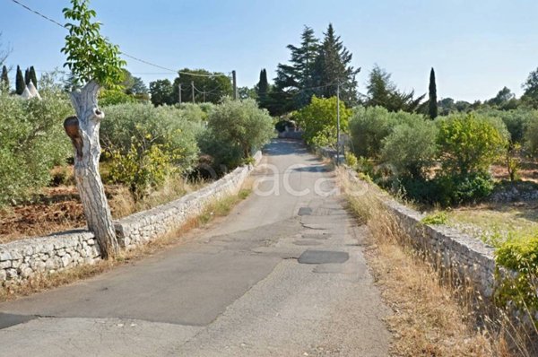 terreno agricolo in vendita a Putignano