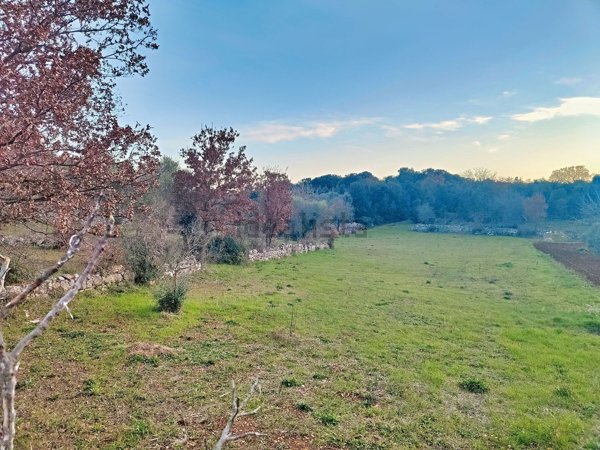 terreno agricolo in vendita a Putignano