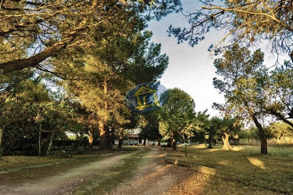 casa indipendente in vendita a Putignano