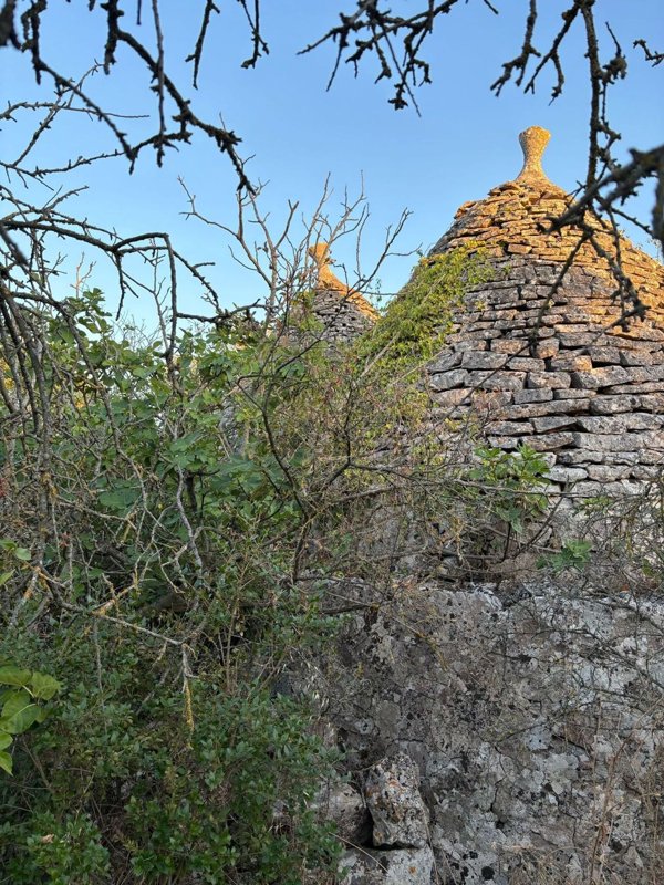 appartamento in vendita a Putignano