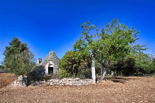 terreno agricolo in vendita a Putignano