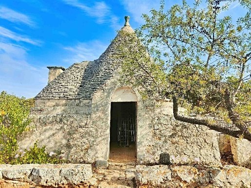 terreno agricolo in vendita a Putignano