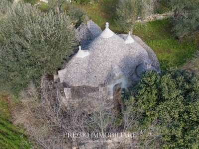 terreno agricolo in vendita a Putignano
