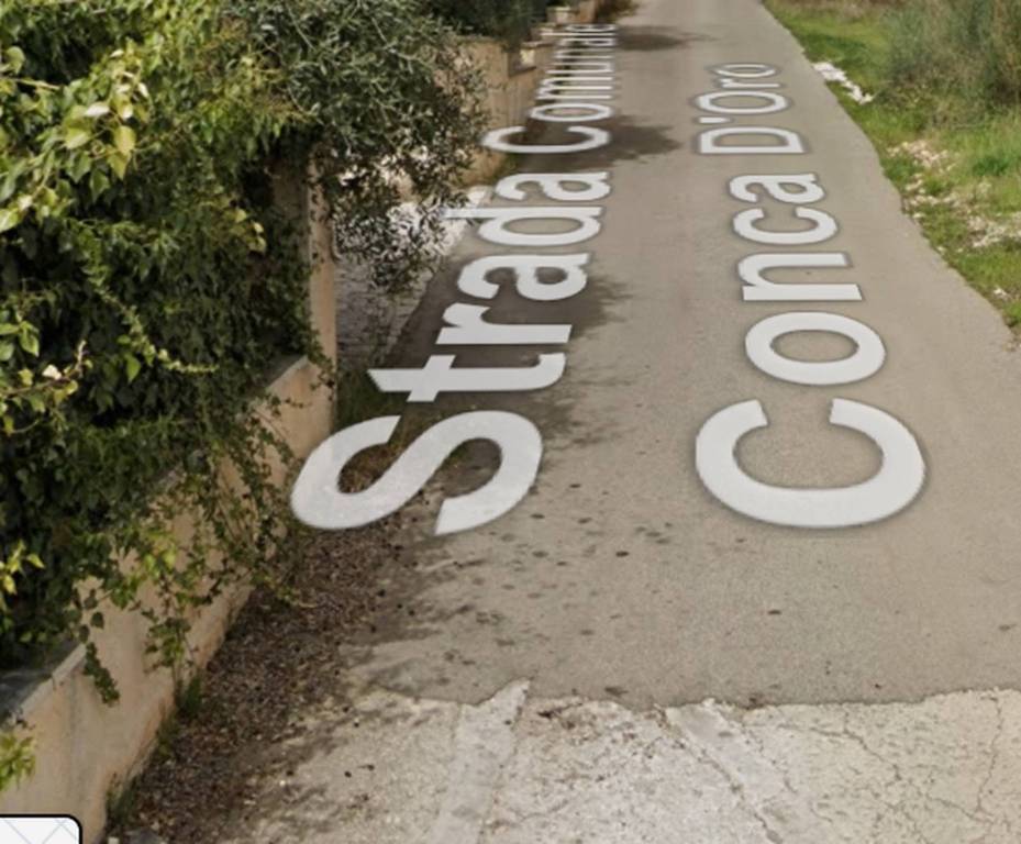 terreno agricolo in vendita a Putignano