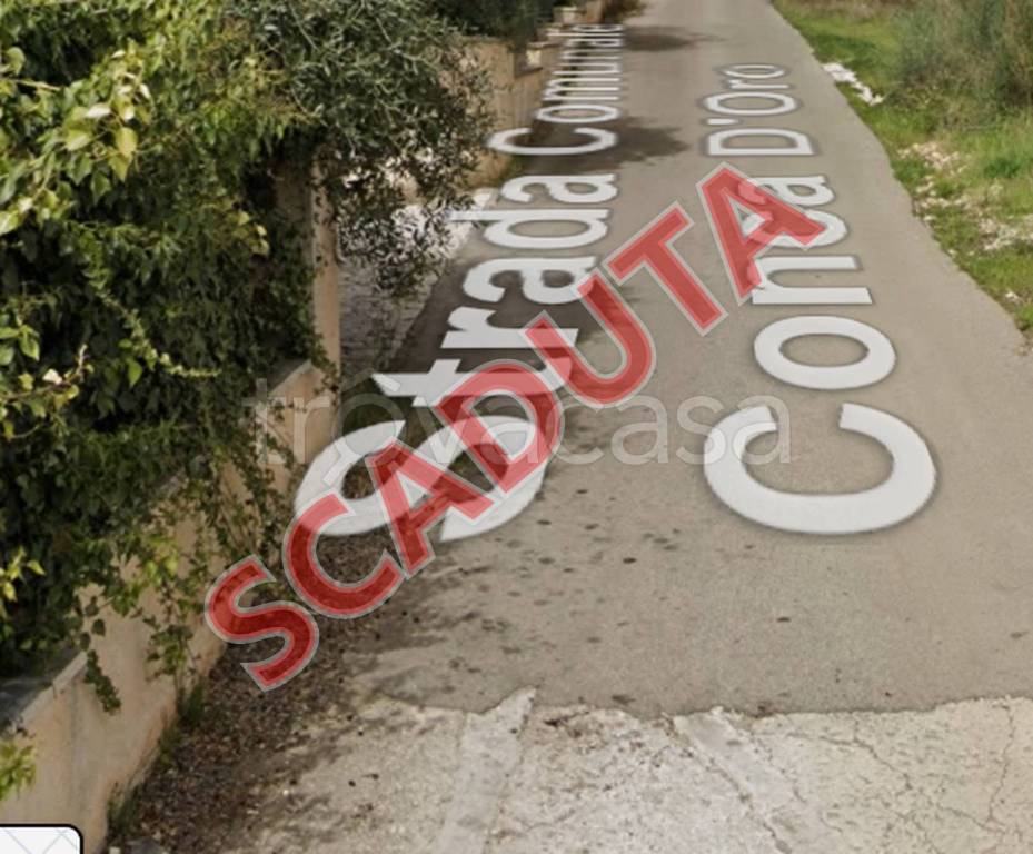 terreno agricolo in vendita a Putignano