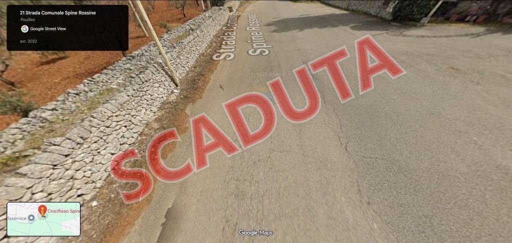 terreno agricolo in vendita a Putignano