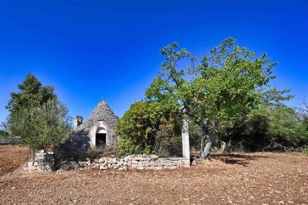 terreno agricolo in vendita a Putignano