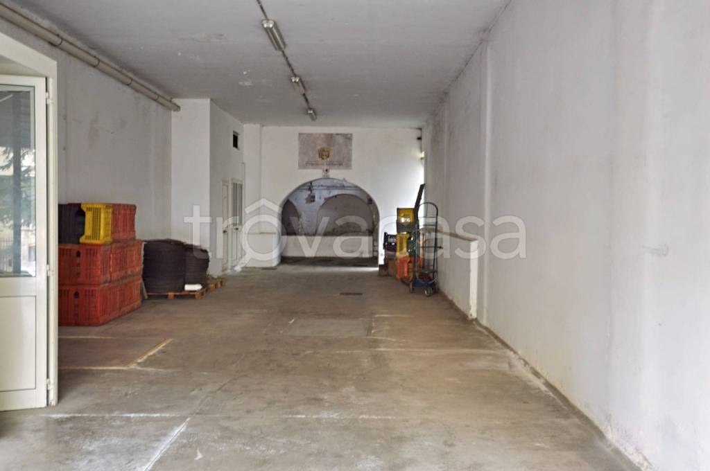 negozio in vendita a Putignano