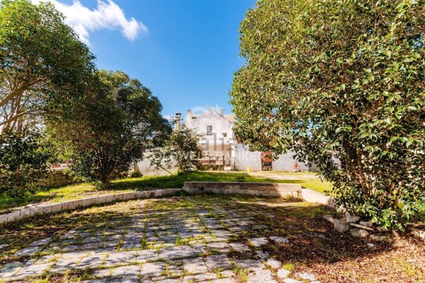 pentavano in vendita a Putignano