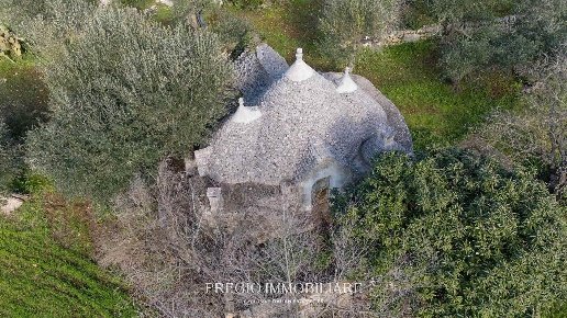 terreno agricolo in vendita a Putignano
