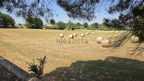 terreno agricolo in vendita a Putignano