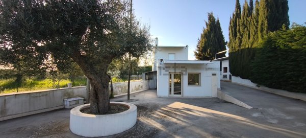 casa indipendente in vendita a Putignano in zona Parco Grande