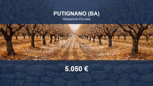 terreno agricolo in vendita a Putignano