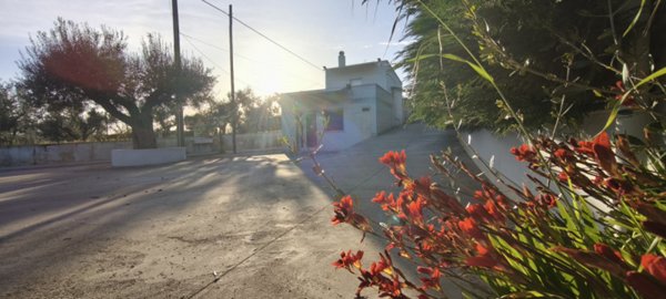 casa indipendente in vendita a Putignano