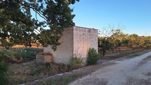 casa indipendente in vendita a Putignano
